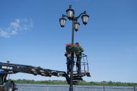 В Астрахани продолжается высадка цветов в парках и скверах