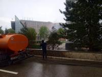 К майским торжествам на территории общественных пространств высадят около 60 тысяч цветов