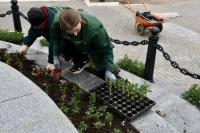 Мария Пермякова приняла участие в озеленении улицы Яблочкова