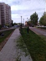 На улице Валерии Барсовой приводят в порядок аллею