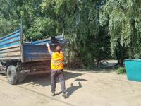 Свыше 100 человек приняли участие в субботнике на острове Городской