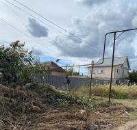 В Астрахани приступили к скосу сорной растительности