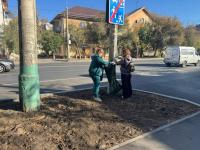 80 мешков мусора собрали на Городском острове