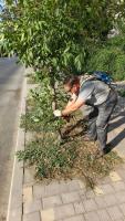 Игорь Редькин поручил возобновить Дни чистоты