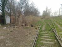 08.04.2016 силами сотрудников администрации Ленинского района и структурных подразделений администрации муниципального образования «Город Астрахань» проведено мероприятие «День чистоты»