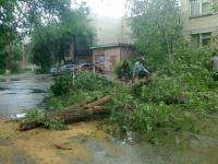 Коммунальным отделом администрации Ленинского района в период с 07.06.2016 по 16.06.2016 организованы мероприятия по удалению дождевой воды с улиц Ленинского района и уходные работы за зелеными насаждениями.