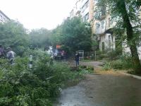 Коммунальным отделом администрации Ленинского района в период с 07.06.2016 по 16.06.2016 организованы мероприятия по удалению дождевой воды с улиц Ленинского района и уходные работы за зелеными насаждениями.