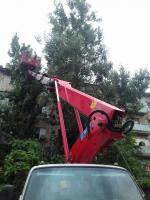 Коммунальным отделом администрации Ленинского района в период с 04.07.2016 по 08.07.2016 в рамках имеющихся полномочий организованы мероприятия по скосу сорной растительности и опиловке деревьев.