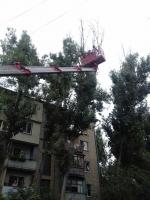 Коммунальным отделом администрации Ленинского района в период с 04.07.2016 по 08.07.2016 в рамках имеющихся полномочий организованы мероприятия по скосу сорной растительности и опиловке деревьев.