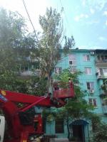 Коммунальным отделом администрации Ленинского района в период с 04.07.2016 по 08.07.2016 в рамках имеющихся полномочий организованы мероприятия по скосу сорной растительности и опиловке деревьев.