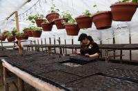 В этом году в Астрахани расцветет миллион цветов