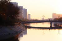 Гармония света