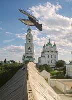 Голубь мира