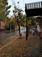 Городская осень