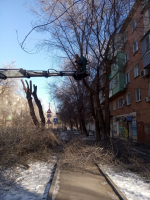 На двух центральных улицах микрорайона Х лет Октября провели санитарную обрезку деревьев 