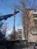 На двух центральных улицах микрорайона Х лет Октября провели санитарную обрезку деревьев 