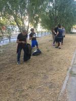 День чистоты