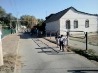 День чистоты