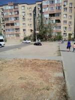 День чистоты