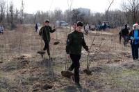 Астраханцы присоединились к международной акции «Сад памяти»