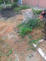 Администрация Ленинского района продолжает работы по санитарной уборке территории района.