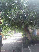 Администрация Ленинского района продолжает работы по санитарной уборке территории района.