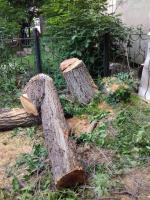 Администрация Ленинского района продолжает работы по санитарной уборке территории района.