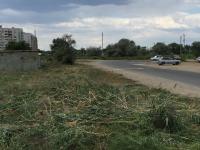 Коммунальным отделом администрации Ленинского района в период с 04.07.2016 по 08.07.2016 в рамках имеющихся полномочий организованы мероприятия по скосу сорной растительности и опиловке деревьев.