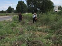 Коммунальным отделом администрации Ленинского района в период с 04.07.2016 по 08.07.2016 в рамках имеющихся полномочий организованы мероприятия по скосу сорной растительности и опиловке деревьев.