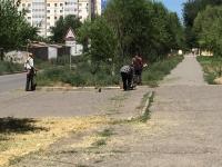 Коммунальным отделом администрации Ленинского района в период с 04.07.2016 по 08.07.2016 в рамках имеющихся полномочий организованы мероприятия по скосу сорной растительности и опиловке деревьев.