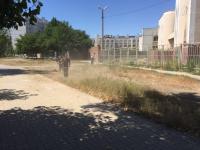 Коммунальным отделом администрации Ленинского района в период с 04.07.2016 по 08.07.2016 в рамках имеющихся полномочий организованы мероприятия по скосу сорной растительности и опиловке деревьев.