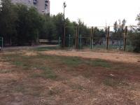 День чистоты.