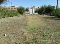 День чистоты.