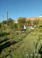 День чистоты.