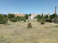 День чистоты.