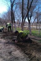 Астрахань готовится расцветать