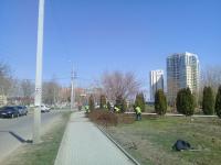 Астрахань готовится расцветать