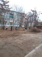 Проведено мероприятие по санитарной зачистке территории