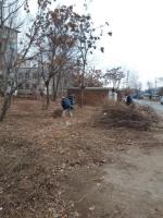 Проведено мероприятие по санитарной зачистке территории