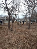 Проведено мероприятие по санитарной зачистке территории