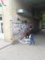 На территории района проведена акция "День чистоты"