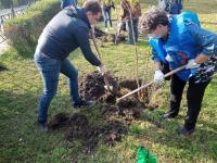 В рамках Всероссийского экологического субботника «Зелёная Россия» на территории района проведены мероприятия по высадке зеленых насаждений