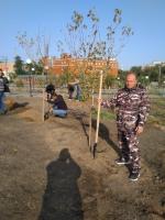 В рамках Всероссийского экологического субботника «Зелёная Россия» на территории района проведены мероприятия по высадке зеленых насаждений