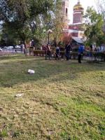 В рамках Всероссийского экологического субботника «Зелёная Россия» на территории района проведены мероприятия по высадке зеленых насаждений