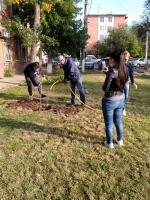 В рамках Всероссийского экологического субботника «Зелёная Россия» на территории района проведены мероприятия по высадке зеленых насаждений