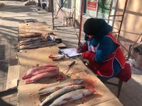 на территории района проведены рейдовые мероприятия по выявлению и ликвидации несанкционированной торговли