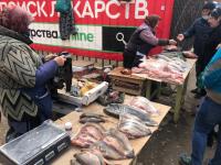 Проведение рейдовых мероприятий