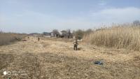 Скос камышовой растительности на территории Кировского района города Астрахани