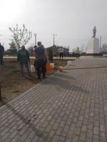 В парках и скверах Астрахани высадили деревья и цветы
