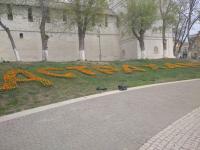 В Астрахани высадят 500 тысяч цветов
